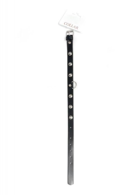 Fetish B - Series Collar with studs 2 cm Fetish B - Series Collar with studs 2 cm