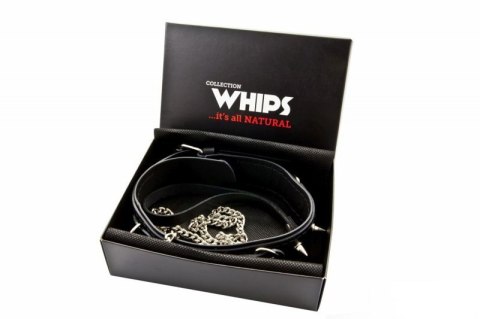 Wiązania-WHIPS obroża męska z ćwiekami i smyczą Wiązania-WHIPS obroża męska z ćwiekami i smyczą