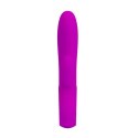 PRETTY LOVE - ELMER, PURPLE, USB, 12 function