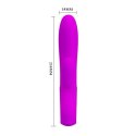 PRETTY LOVE - ELMER, PURPLE, USB, 12 function