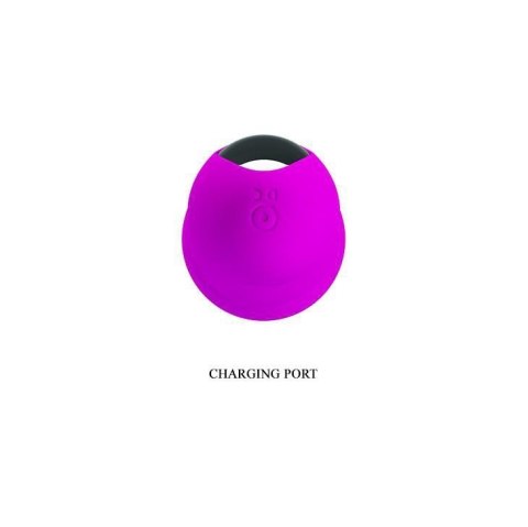 PRETTY LOVE - PAUL Purple, USB 30 function PRETTY LOVE - PAUL Purple, USB 30 function