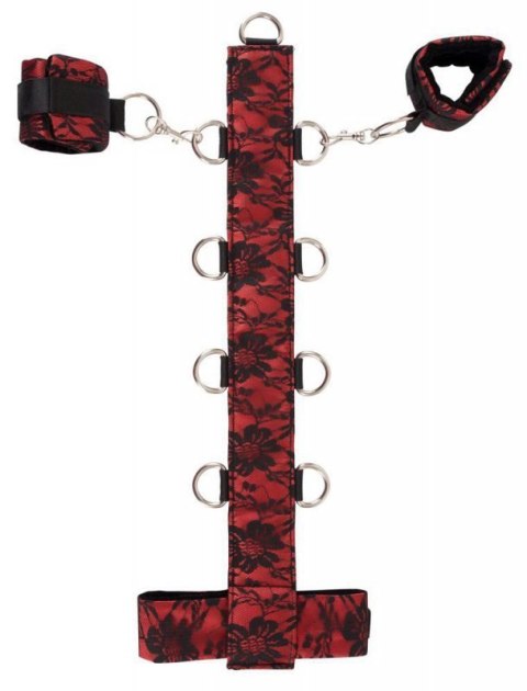Bad Kitty Collar Bad Kitty Collar