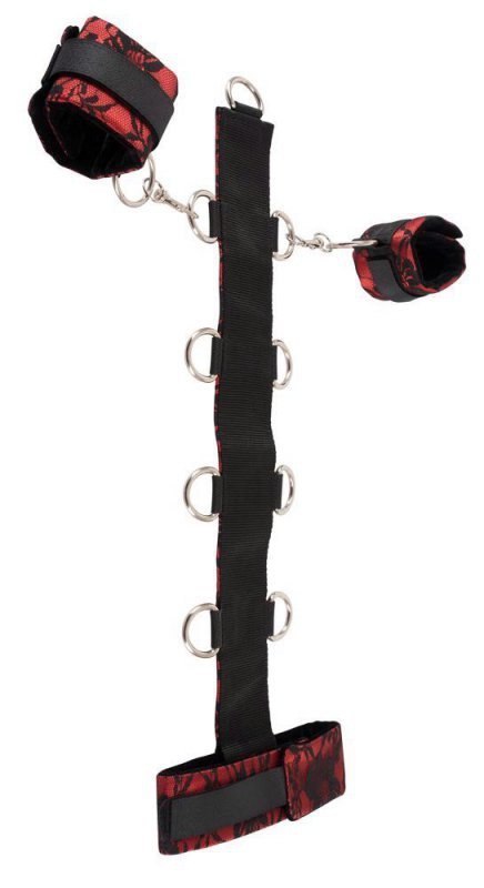 Bad Kitty Collar Bad Kitty Collar