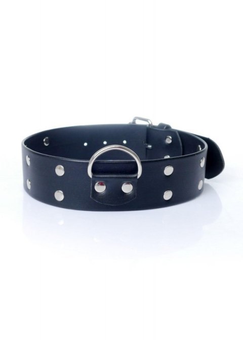Fetish B - Series Collar with studs 4 cm Fetish B - Series Collar with studs 4 cm