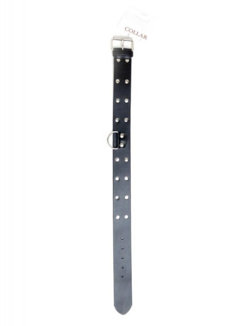 Fetish B - Series Collar with studs 4 cm Fetish B - Series Collar with studs 4 cm